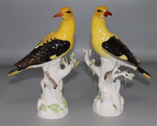 A pair of Meissen figures of Golden Oriole, each perched on a tree stump (damaged) 24cm